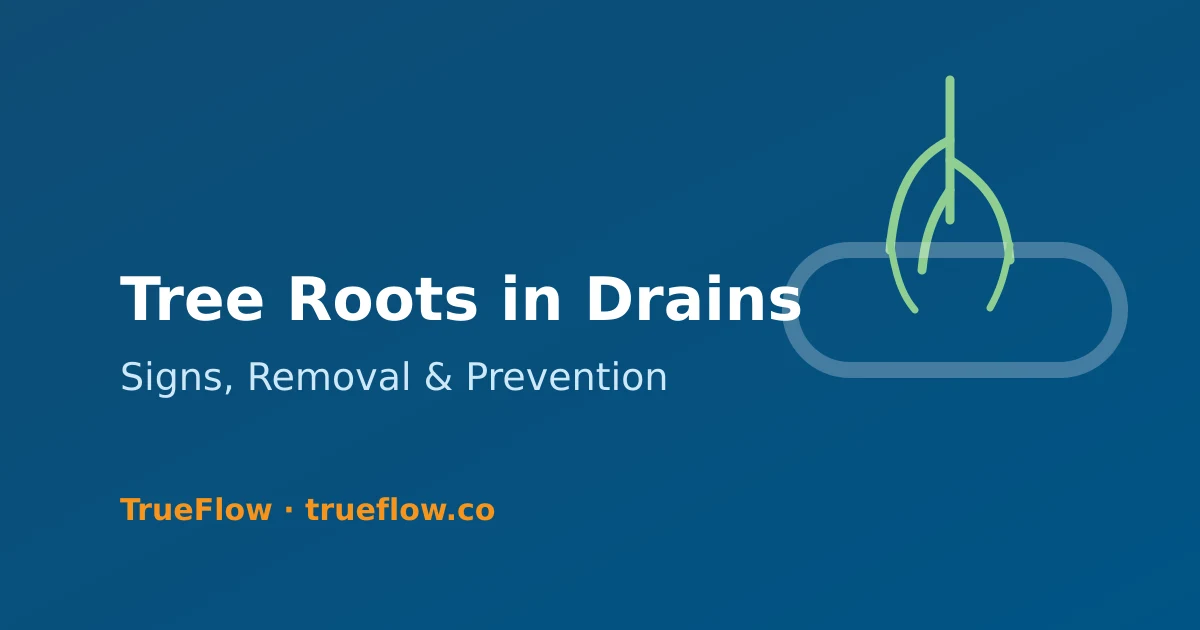 Tree Roots in Drains: Removal, Repair & Prevention (UK)