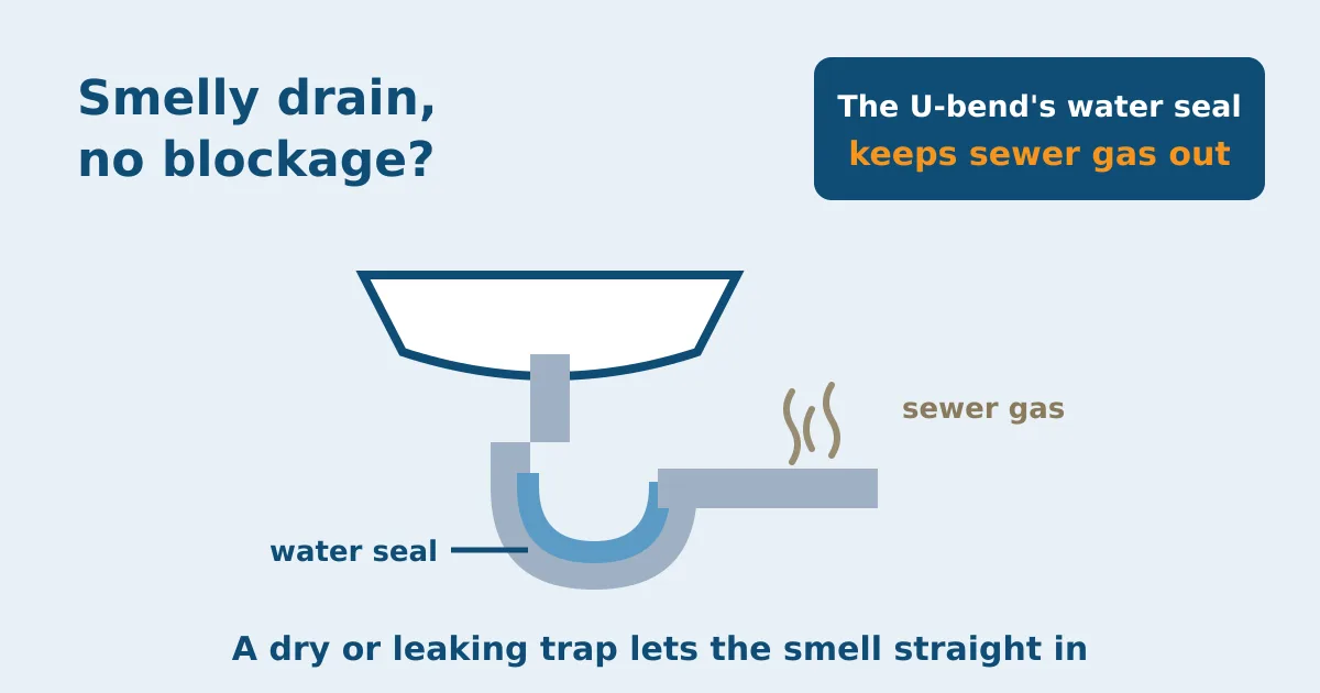 Why Does My Drain Smell But Isn't Blocked? A Diagnostic Guide